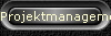 Projektmanagement
